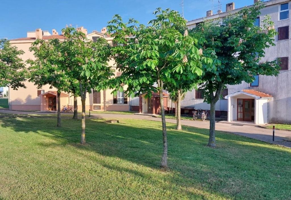 Apartmán Stefan 1 Umag Exteriér fotografie